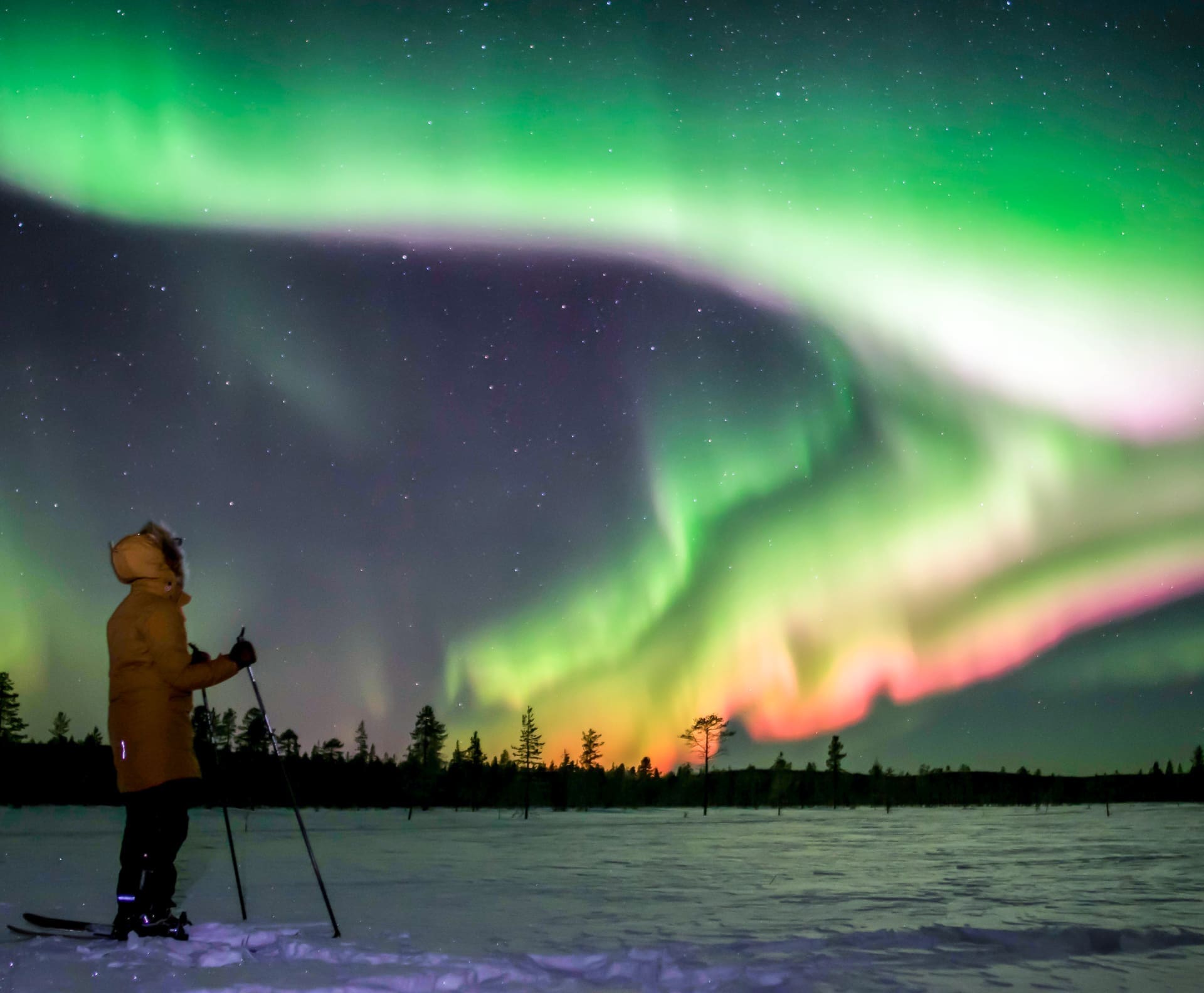 Noorderlicht in Muonio Lapland