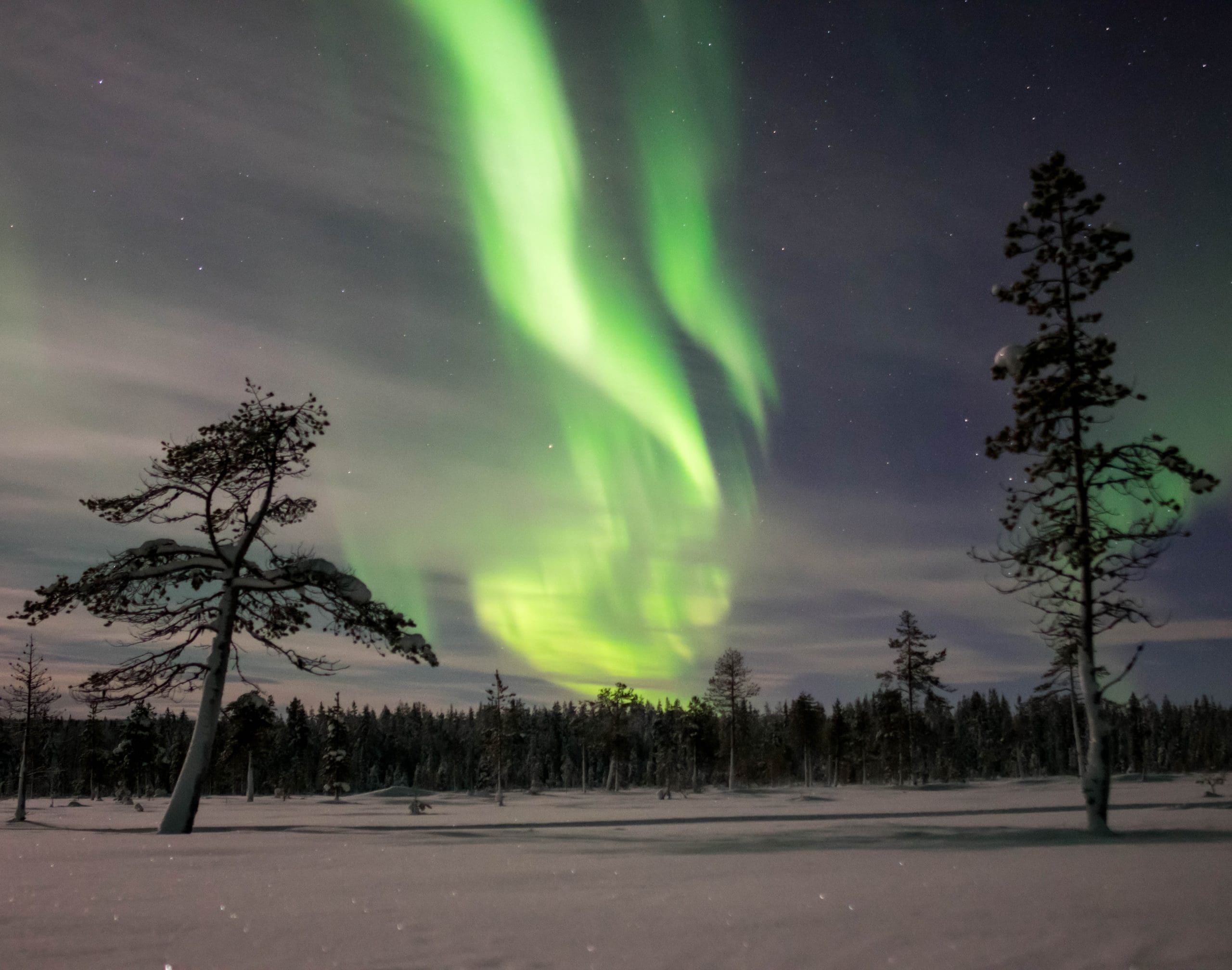 Aurora boreal en un pantano en Laponia Muonio