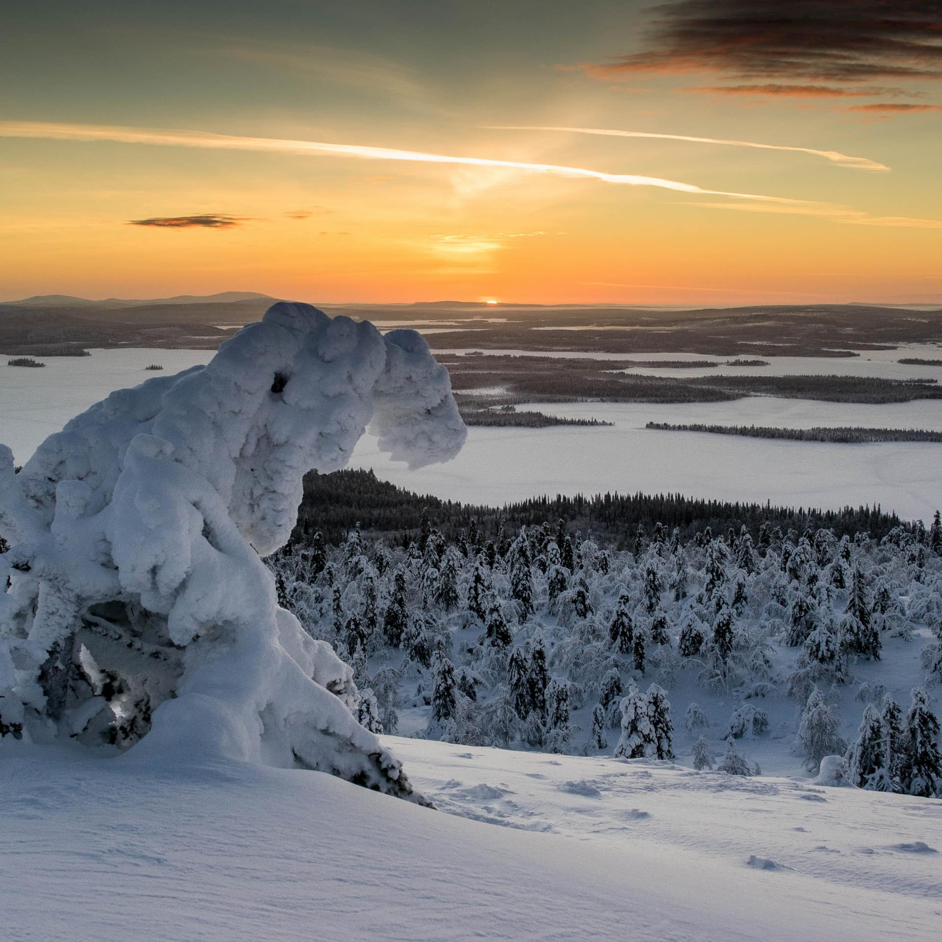 Landschaft vom Fjäll mit verschneiten Wäldern und orangefarbenem Himmel in Lappland