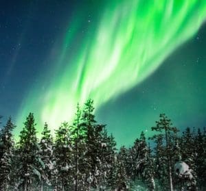 Northern lights above a forest