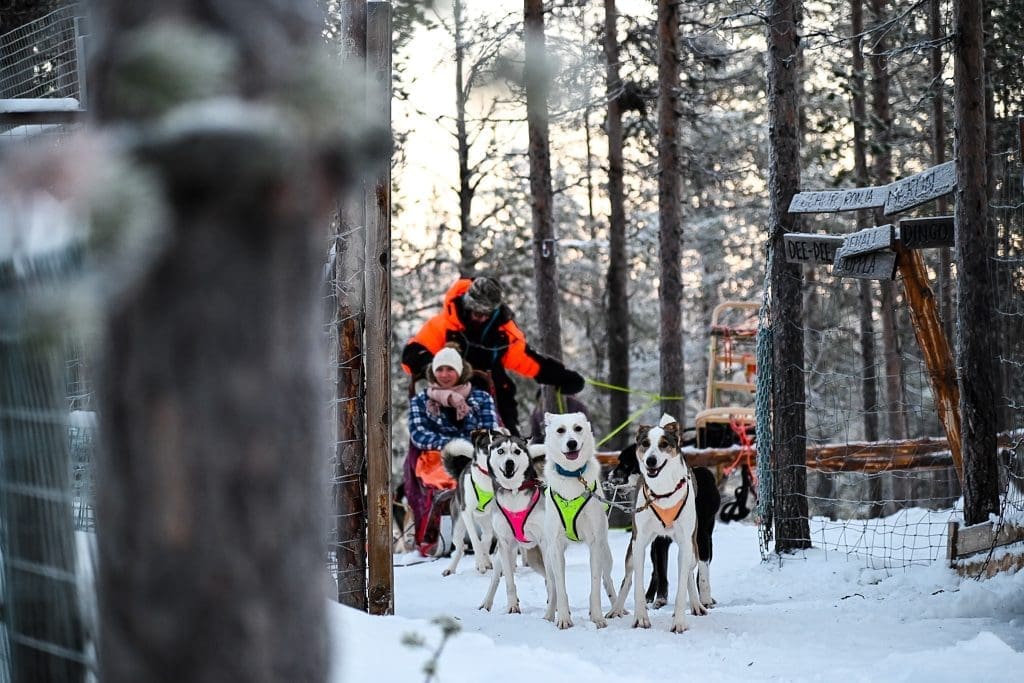 Avvio dell'Husky Safari