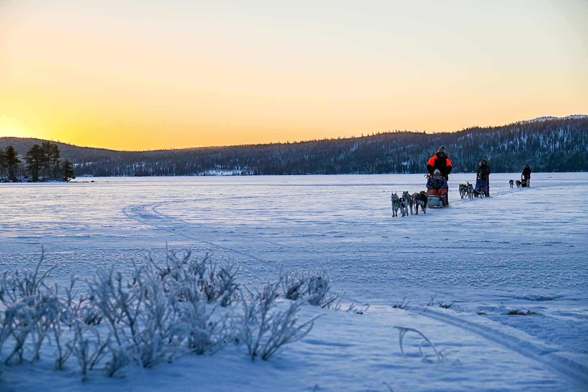 Safari con huskies en un lago de Laponia