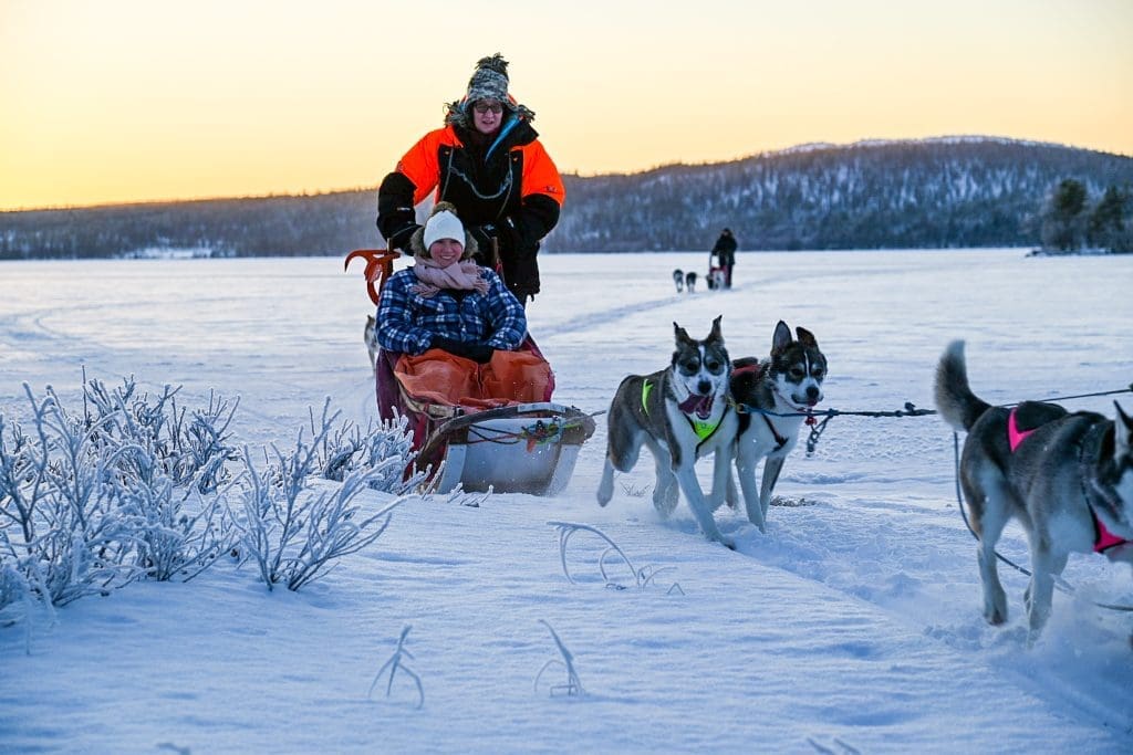 Safari con huskies en Laponia