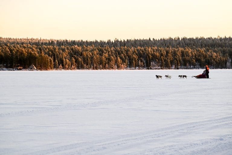 Husky Safari op een meer in Lapland